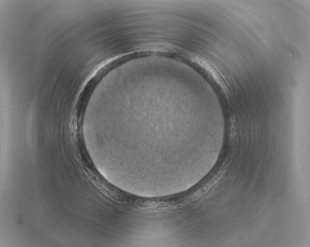 X0000115360923200912151354