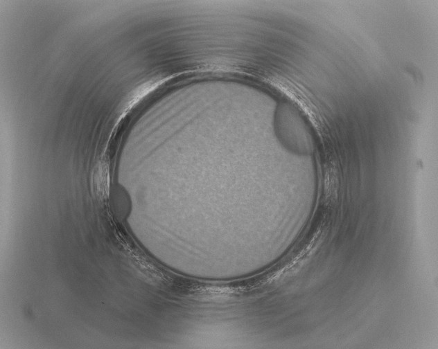 X0000115360925200912151354