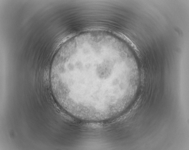 X0000115360937200912151354