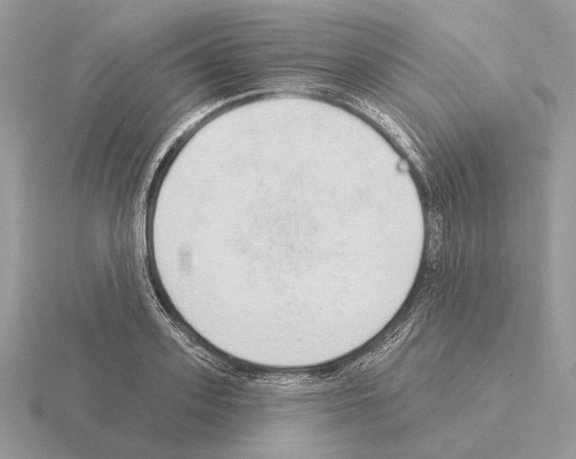 X0000115360939200912151354