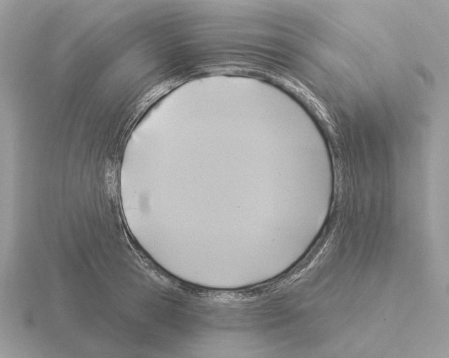X0000115360945200912151355