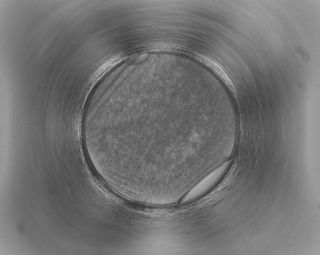 X0000115360946200912151355