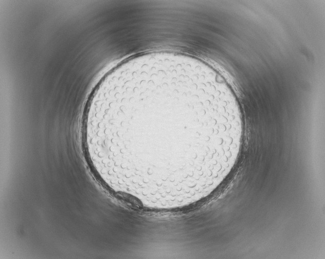 X0000115360949200912151355