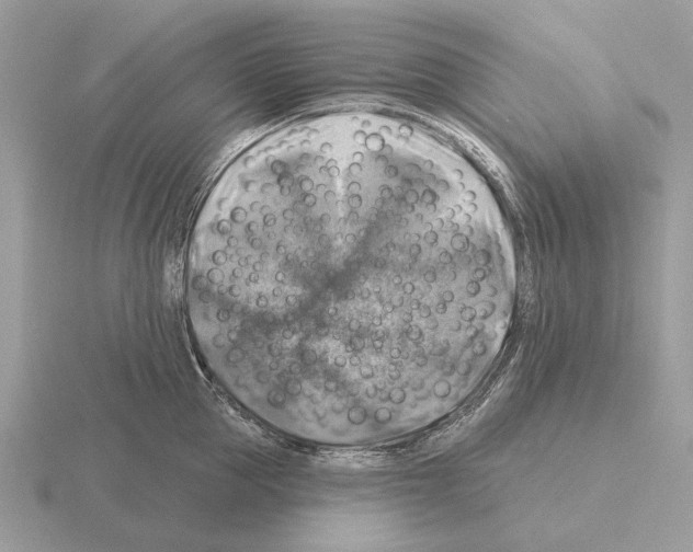 X0000115360953200912151355