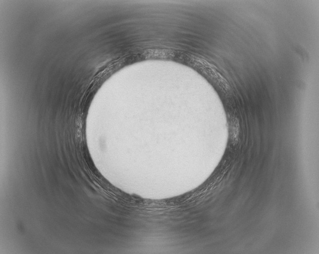X0000115360964200912151354