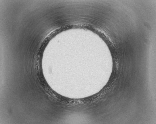 X0000115360968200912151354