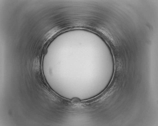 X0000115360969200912151354