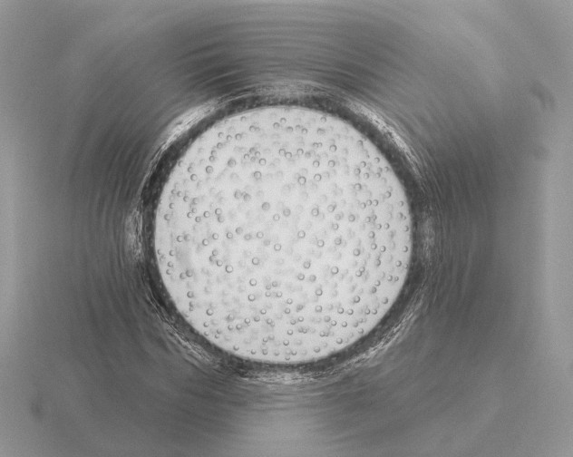X0000115360970200912151354