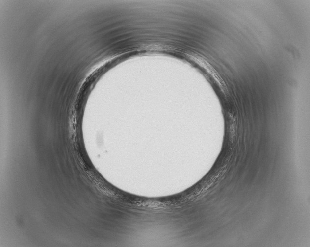X0000115360971200912151354