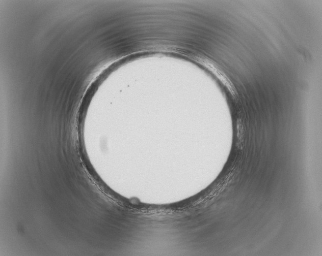 X0000115360972200912151354