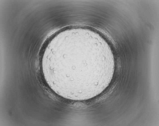 X0000115360974200912151354