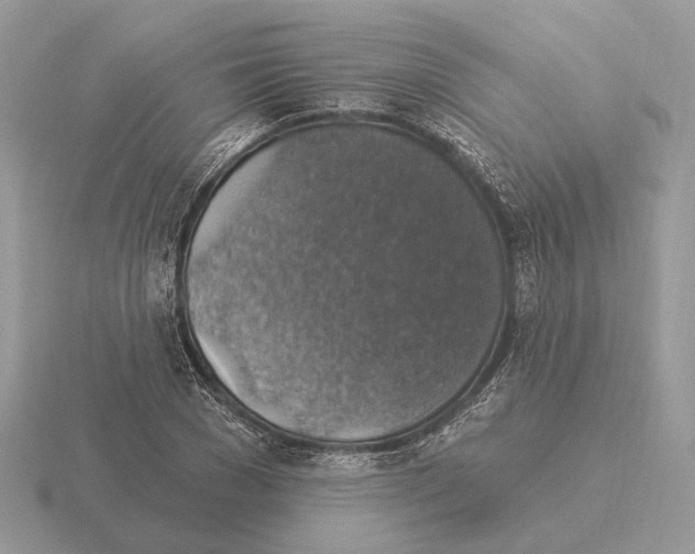 X0000115360977200912151354
