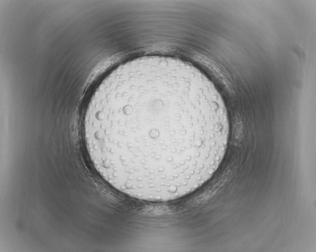 X0000115360978200912151354