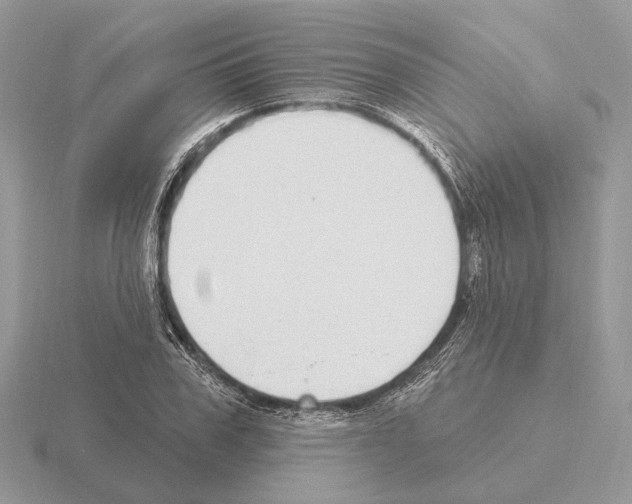 X0000115360979200912151354