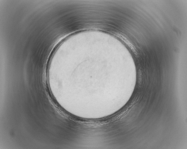 X0000115360980200912151354