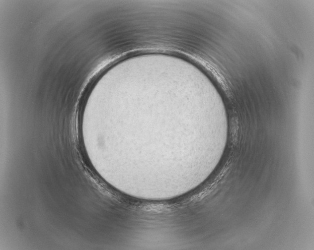 X0000115360982200912151354
