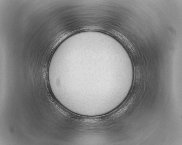 X0000115360985200912151354