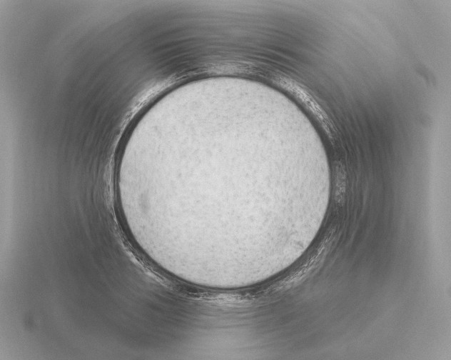 X0000115360986200912151354