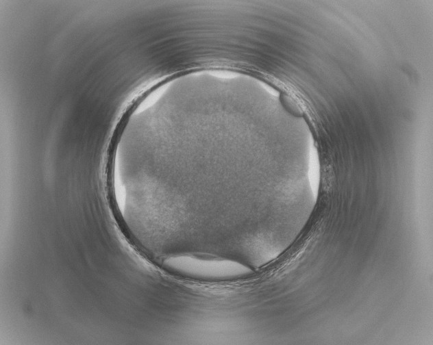 X0000115360995200912151354