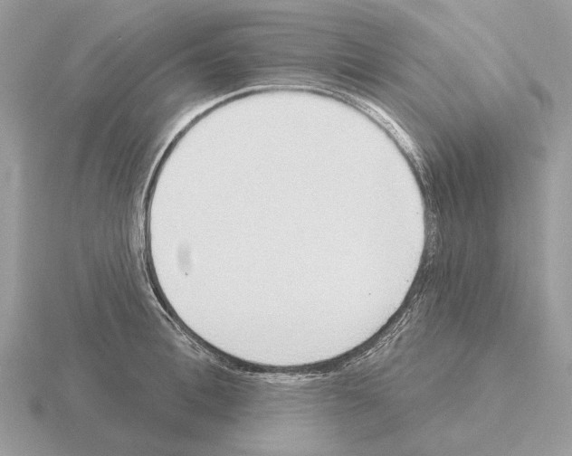 X0000115360996200912151354