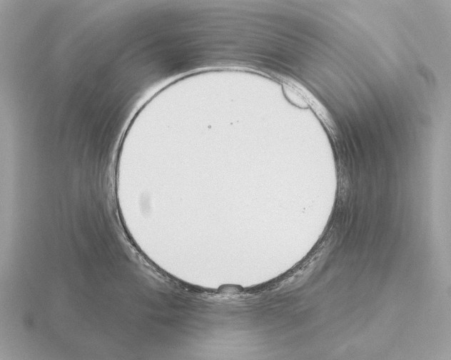 X0000115361004200912151354