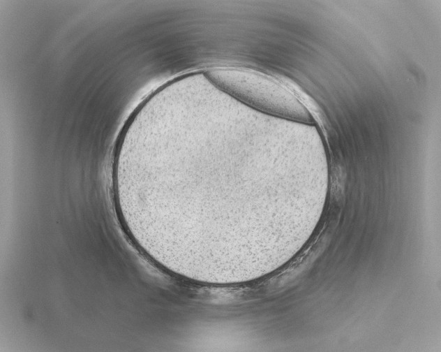 X0000115361005200912151354