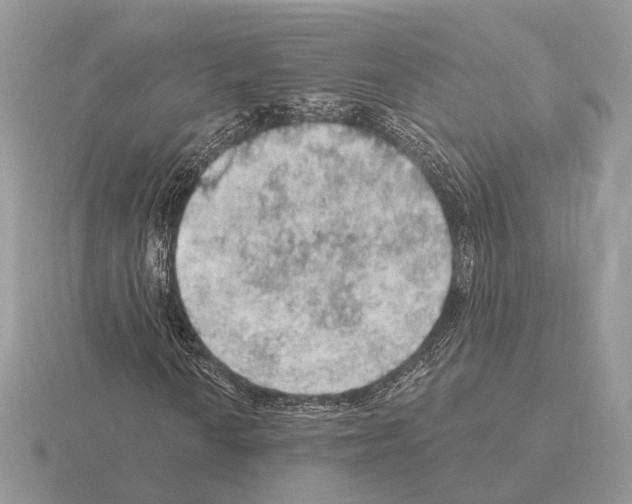 X0000115361010200912151353