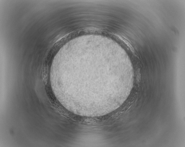 X0000115361015200912151353