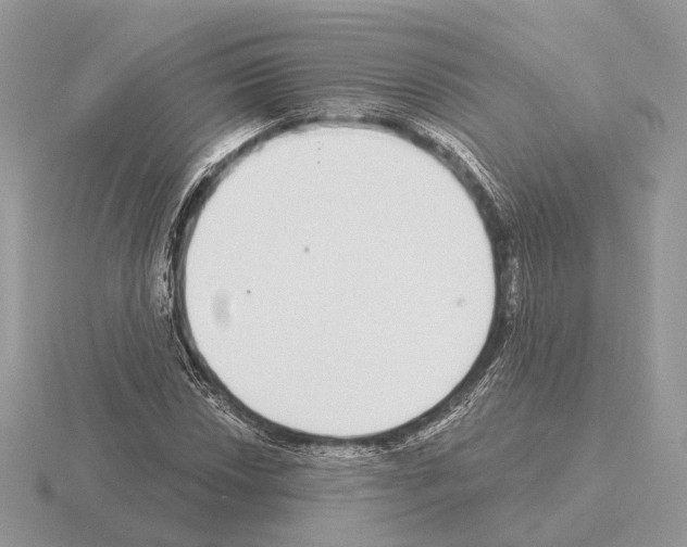 X0000115361018200912151353