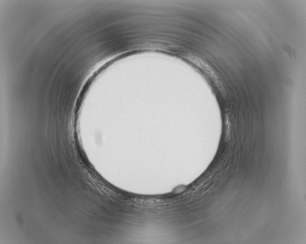 X0000115361020200912151353