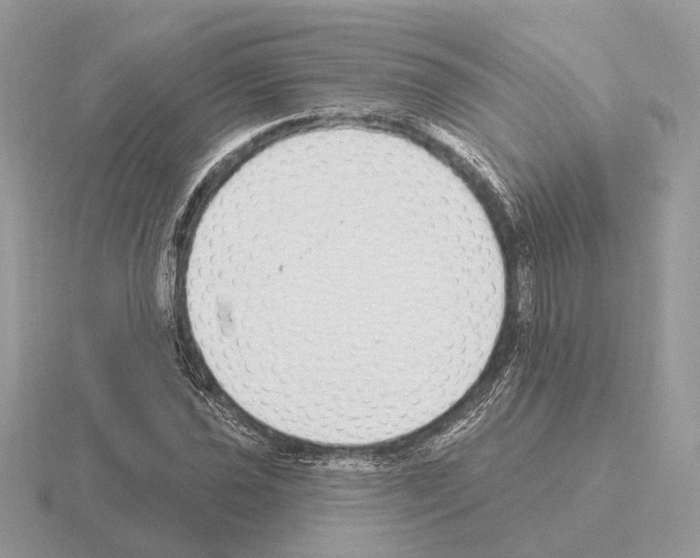 X0000115361021200912151353