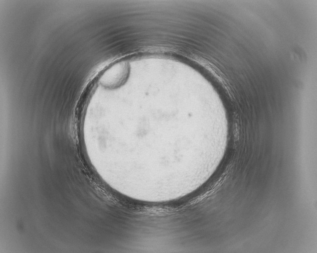 X0000115361022200912151353