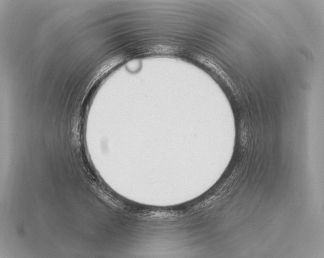 X0000115361026200912151353