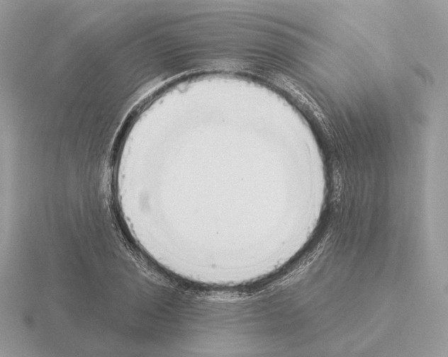 X0000115361029200912151353