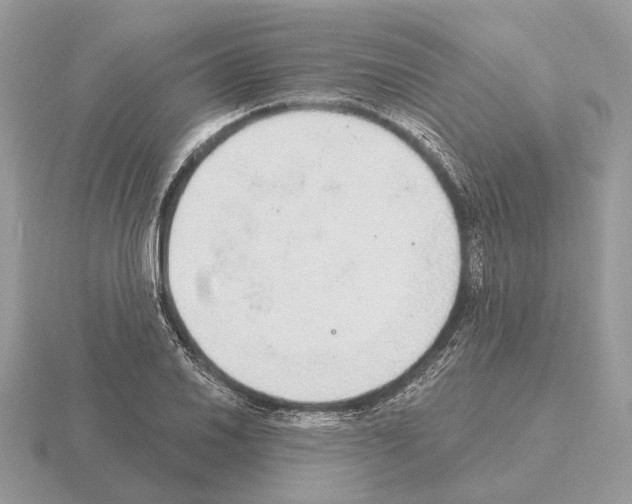 X0000115361030200912151353