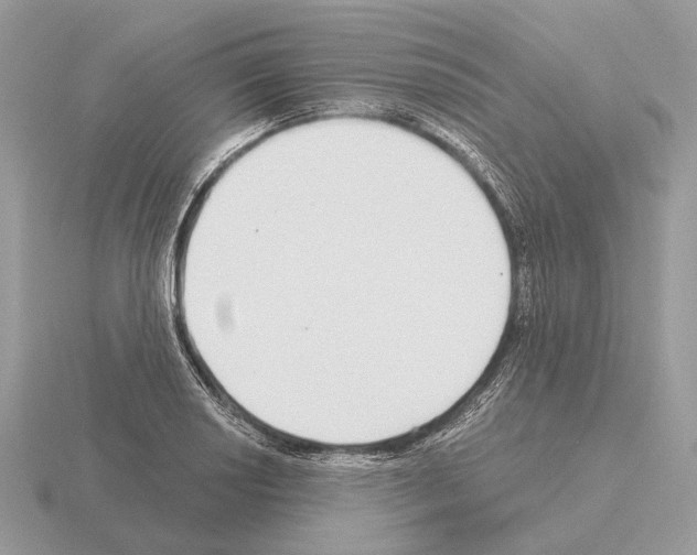 X0000115361034200912151353
