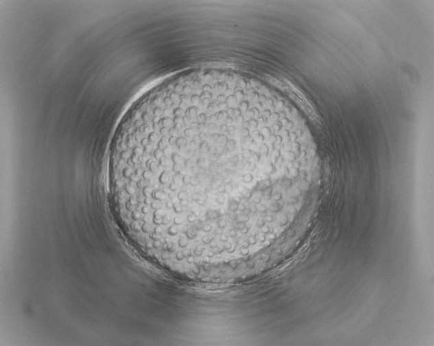 X0000115361036200912151353