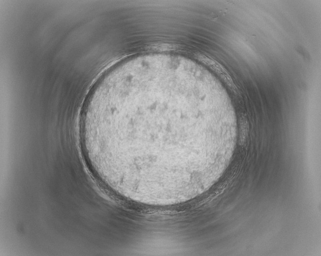 X0000115361039200912151353