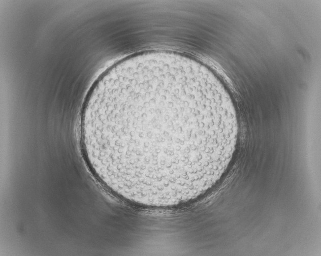 X0000115361040200912151353
