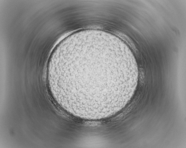 X0000115361044200912151353