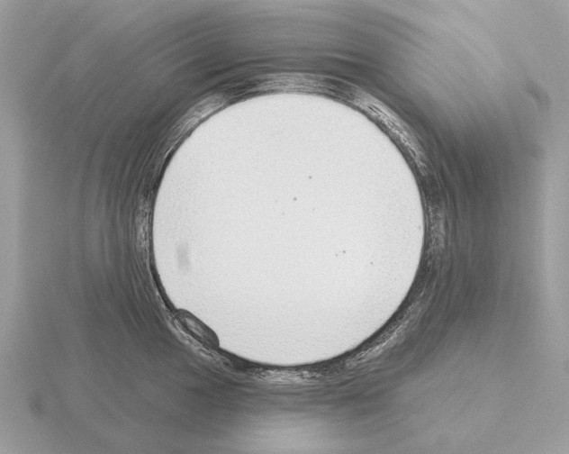 X0000115361049200912151353