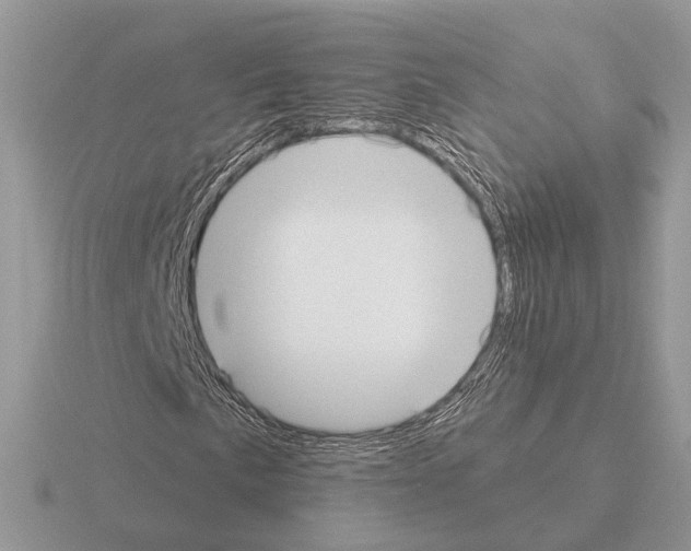 X0000115361057200912151353