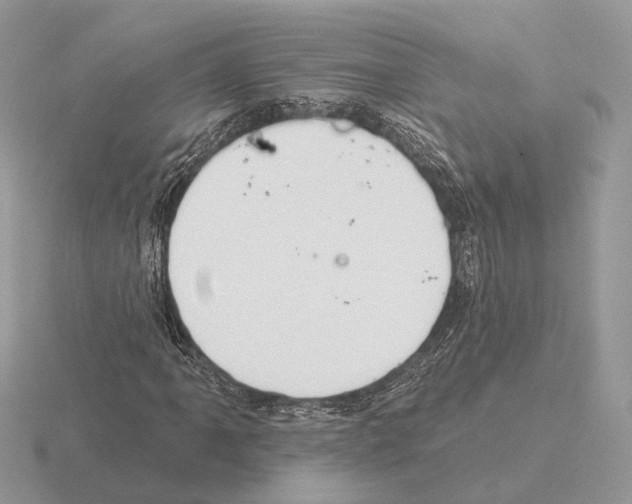 X0000115361061200912151353