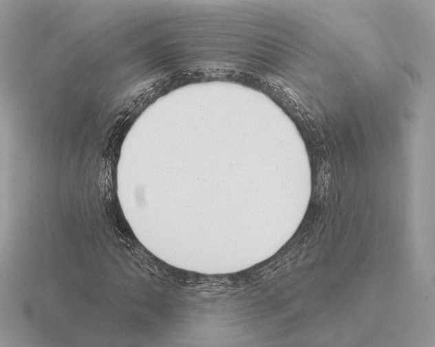 X0000115361062200912151353