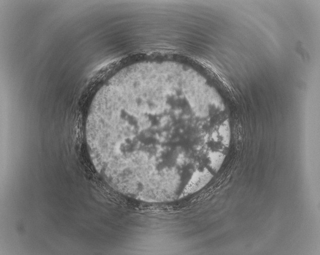 X0000115361063200912151353