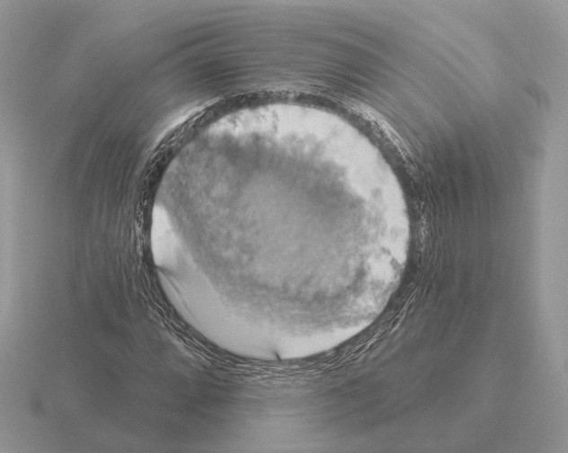 X0000115361064200912151353