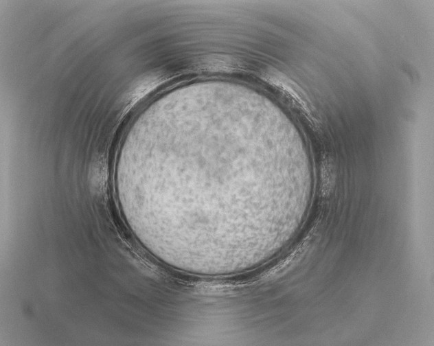X0000115361065200912151353