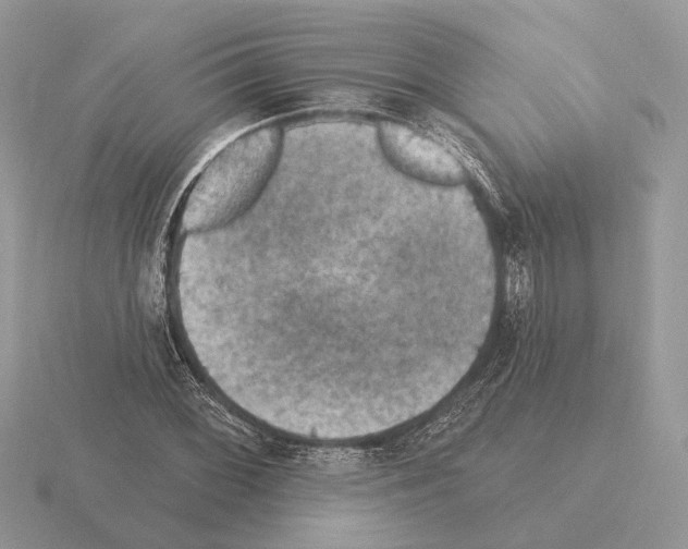 X0000115361068200912151353