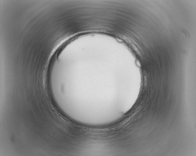 X0000115361069200912151353