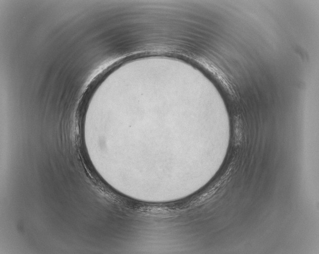 X0000115361070200912151353